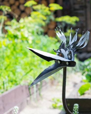 metal bird sculpture in garden