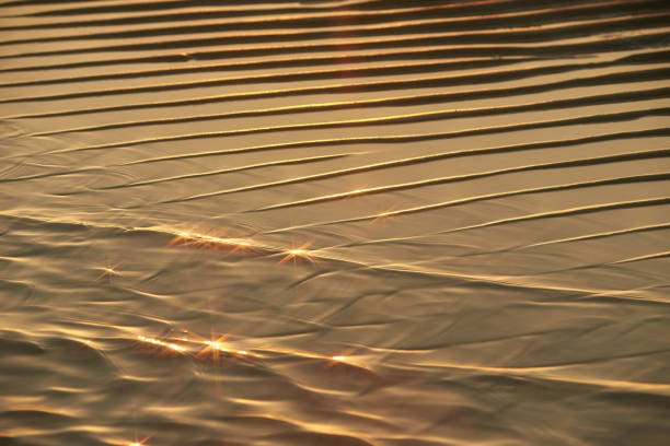 istock Sand waves texture with water on the sea beach. Yellow sand texture for background. 1330930569