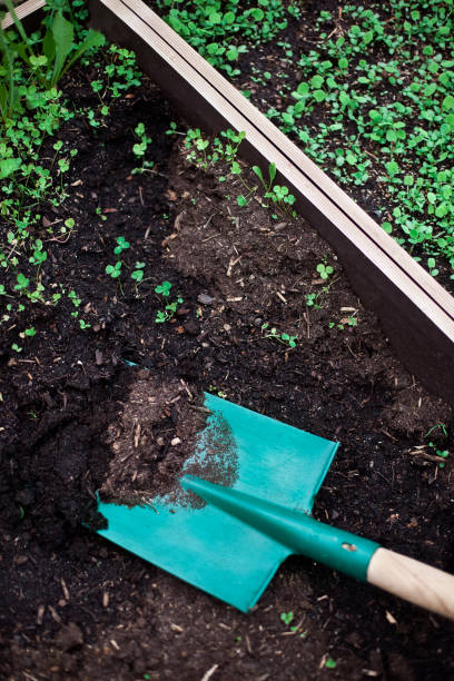 istock It is a good time to garden 1330931958