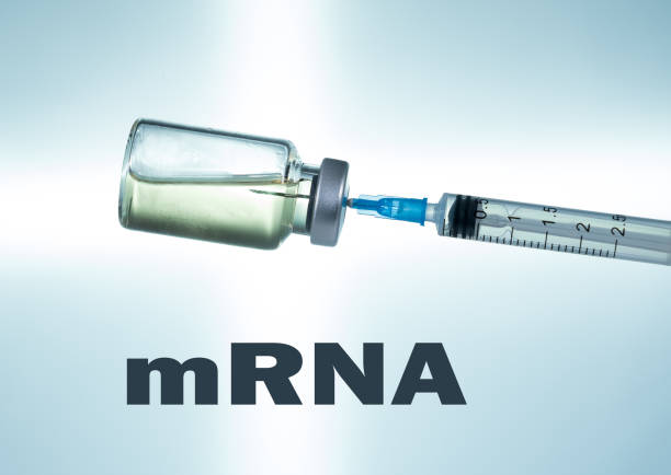 Hypodermic syringe needle inserted into a vaccine ampoule as mRNA concept stock photo