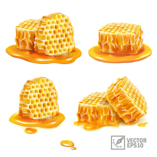 illustrations, cliparts, dessins animés et icônes de ensemble vectoriel isolé réaliste 3d avec du miel, des morceaux en nid d’abeille dans différentes versions - honey crisp