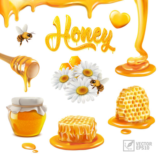 ilustrações, clipart, desenhos animados e ícones de conjunto vetorial realista 3d com mel, pedaços de favo de mel, abelha voadora, flores de camomila, própolis, líquido fluindo em uma vara, poças e gotas de mel, uma inscrição de texto na forma de uma colmeia - syrup jar sticky isolated objects