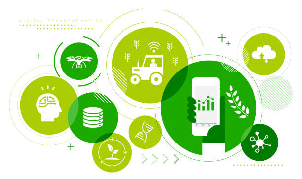 rolnictwo, zestaw ikon obrazu transformacji cyfrowej, uruchamianie, ilustracja wektorowa - agriculture stock illustrations