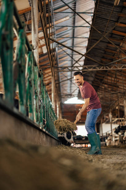 istock Adult man, working hard. 1330939673