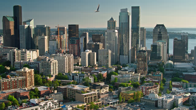 Drone shot of Seattle, Washington on a sunny afternoon in summer from over Capitol Hill, looking across the First Hill neighborhood towards the Central Business District.