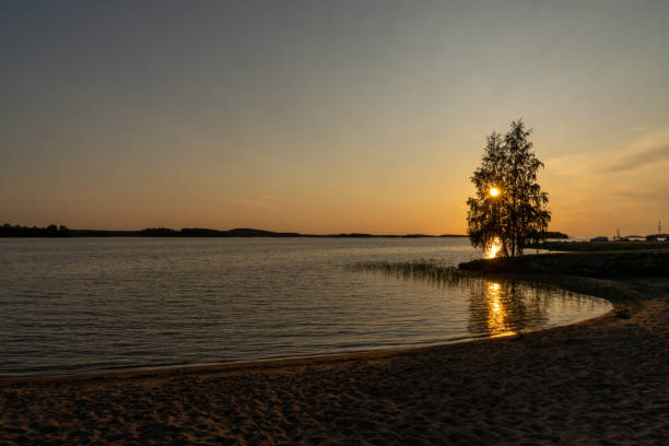Colorful sunset over a calm ocean with a sandy beach in the foreground and the setting sun shining through a tree