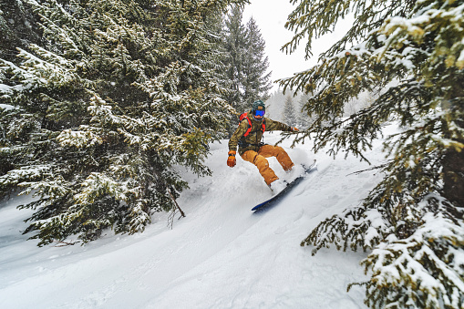 A skier drops down a section of a snowy forest in the backcountry.