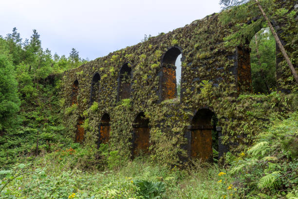 istock The old aqueduct called Muro das Nove Janelas (Nine Windows Wall) 1330950660