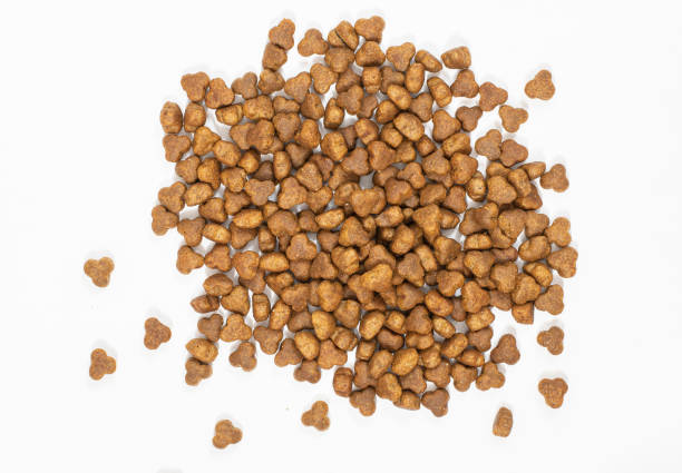 istock Dry dog food portion isolated on white background 1330951745