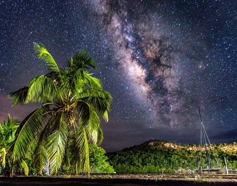 Candid photo of milky way at night with a palm tree in front in the clear sky of Guajimico, in the south of cuba