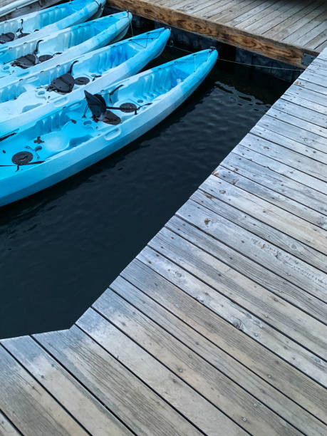 istock Light blue kayaks docked at Redfish Lake marina 1330955500