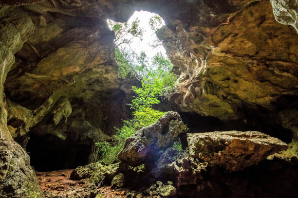 istock natural cave in Guajimico, Cuba 1330956950