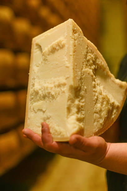 istock Cheese dairy master cutting a parmesan cheese wheel with special knives 1330959533