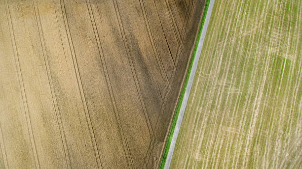 istock Abstract agricultural field - aerial view 1330959844