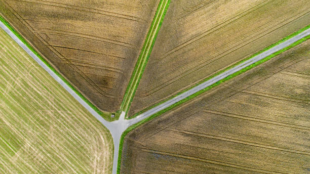 abstract agricultural field - aerial view - fork in the road imagens e fotografias de stock