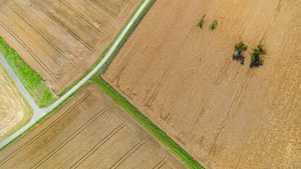 istock Abstract agricultural field - aerial view 1330959901