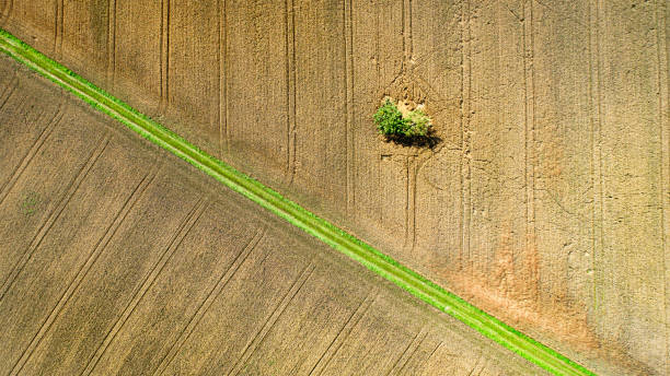 istock Abstract agricultural field - aerial view 1330959909