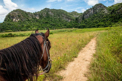 Horseback riding in the tropical valley of Vinales, Cuba