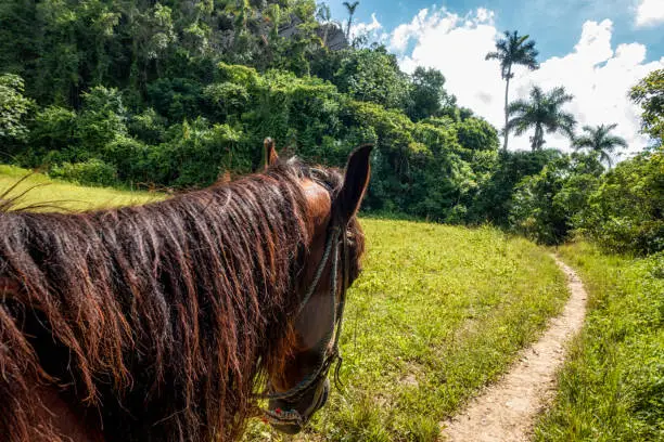 Horseback riding in the tropical valley of Vinales, Cuba
