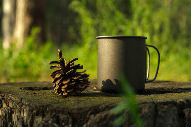 istock Titanium cup and a pine cone stand on a stump in a forest 1330962738