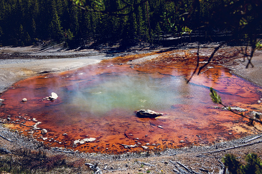 Colorful hotspring in Yellowstone National Park