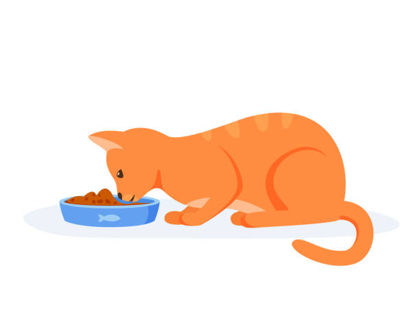 głodny kot jedzący jedzenie z miski. czerwony kot domowy mający dobry apetyt. karmienie zwierzaka kibble lub mokrym pokarmem. wektor w stylu płaskim - domestic cat animals feeding pet food food stock illustrations