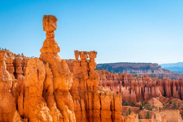 Thor's Hammer with Hoodoos at Bryce Canyon Bryce Canyon view in Utah rock hoodoo stock pictures, royalty-free photos & images
