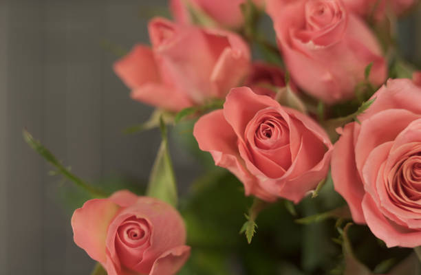 istock Bouquet of pink roses on a dark background. macro 1330974094