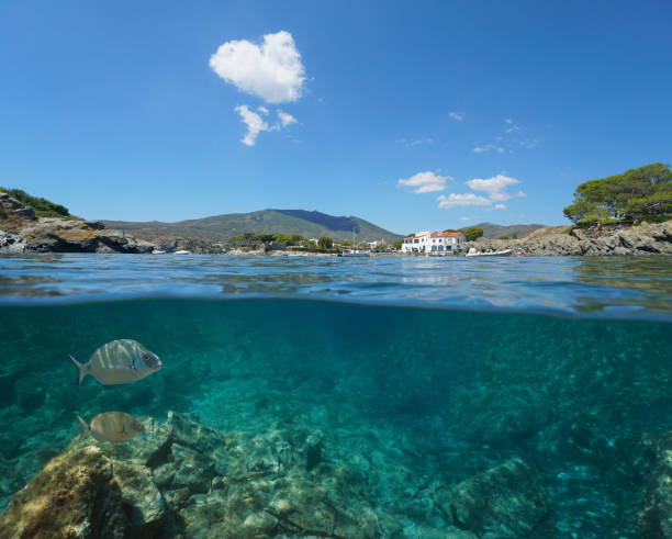 istock Spain seascape Mediterranean over under water 1330975277