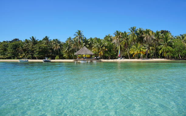 Tropical coastline Panama Central America Tropical coastline with coconut palm trees and a palapa over water, Bocas del Toro, Caribbean sea, Panama, Central America bocas-del-toro stock pictures, royalty-free photos & images