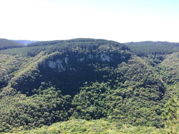 istock Round rock formation covered by trees 1330981525