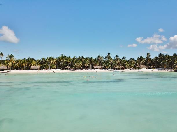 istock Punta Cana, Dominican Republic 1330982516