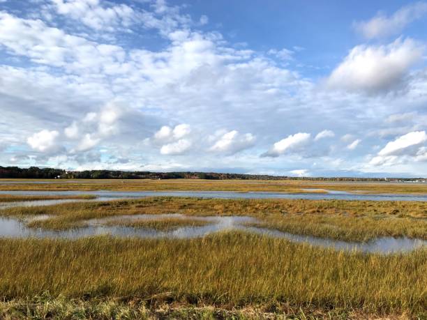 istock Marshlands - Mile Road in Wells Maine 1330992010