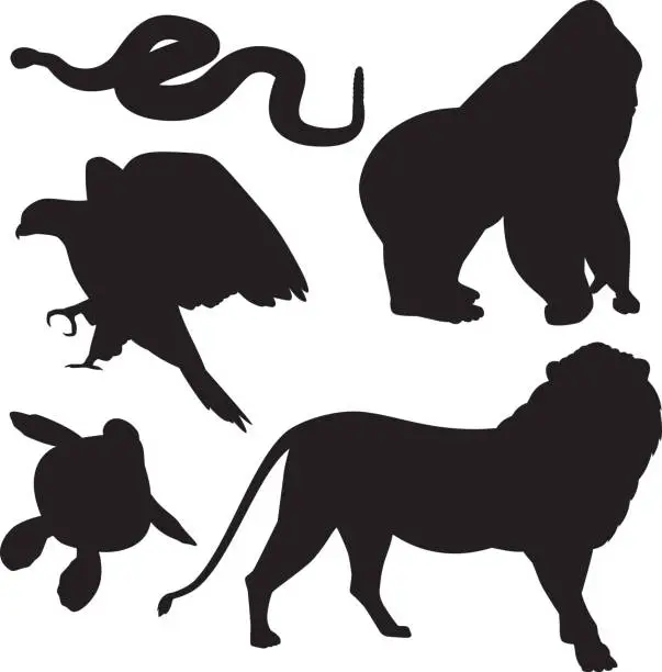 Vector illustration of Zoo Animal Silhouettes 2