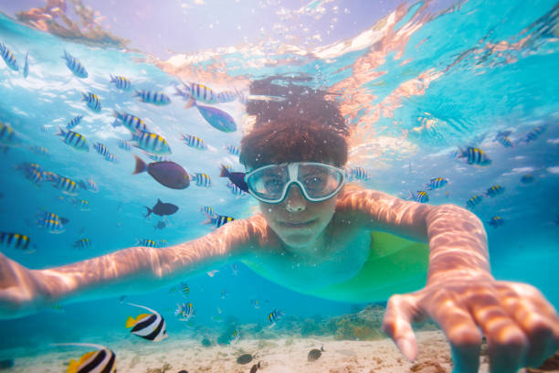 istock Handsome boy in scuba mask swim with fish school 1330997136