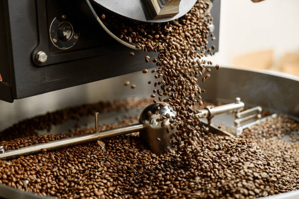 istock Young specialist worker is roasting coffee in hangar 1331000697