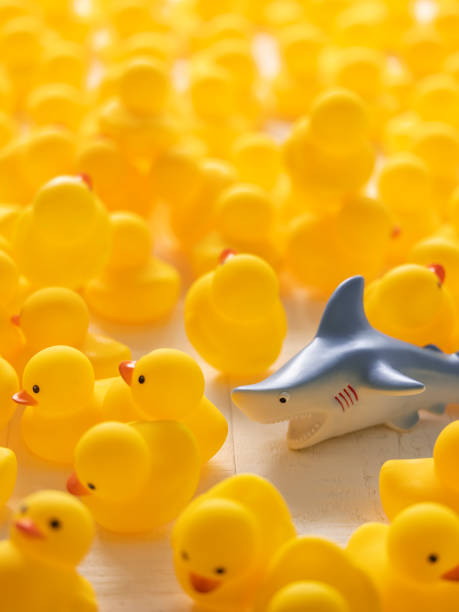 istock Ferocious rubber shark chasing a yellow rubber duck within a large group of yellow rubber ducks that are fleeing the shark, set on white wood background. 1331010233