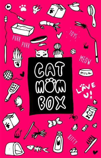 고양이 엄마 상자 라벨 - 키티 장비 선물 상자 낙서 스티커 - cat box stock illustrations