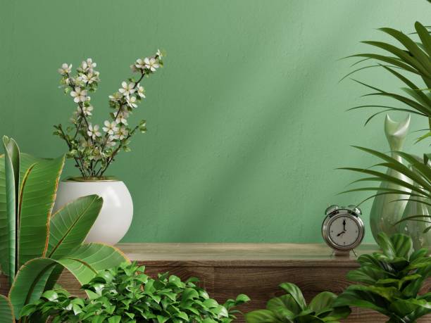 istock Interior wall mockup with plant,Green wall and shelf. 1331019235