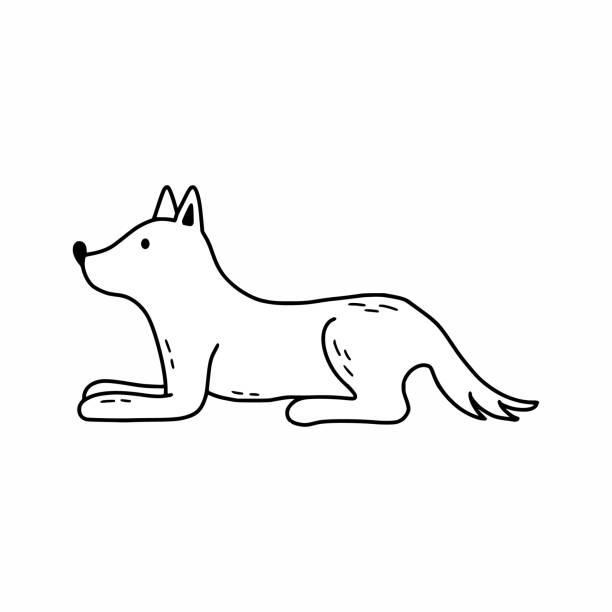 Lobos A Lapiz - Banco de fotos e imágenes de stock - iStock Lobos A Lapiz - Banco de fotos e imágenes de stock - iStock