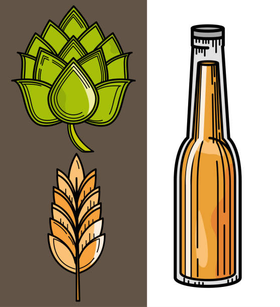 набор пива и ячменя - mug beer barley wheat stock illustrations
