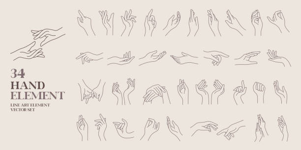 stockillustraties, clipart, cartoons en iconen met human hand line art element vector set - menselijke hand illustraties
