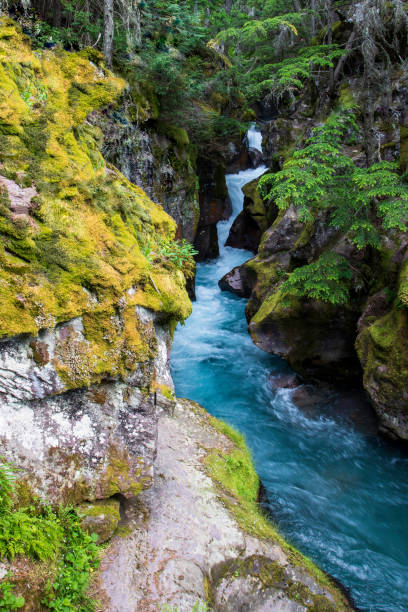 istock Beautiful river running down the mountain canyon 1331025398