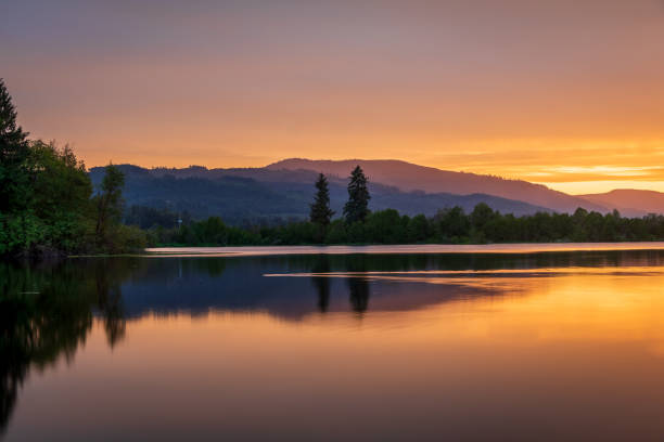 Vancouver Island Sunset Sunset reflections over a rural Vancouver Island Lake. still water stock pictures, royalty-free photos & images