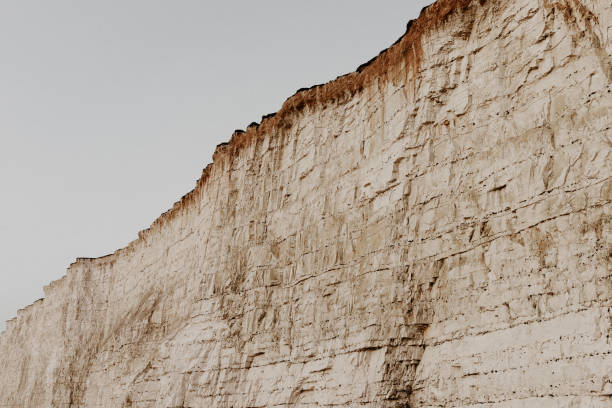 Layers of ages on the white chalk wall next to the ocean in south England. Clear sky, dry weather.