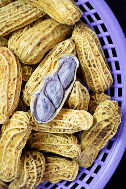 istock Boiled peanuts in purple basket. 1331029686