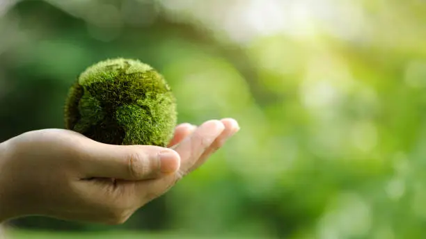 Photo of Close up of hands holding the earth on a green background. protect nature. Save Earth. concept of the environment World Earth Day