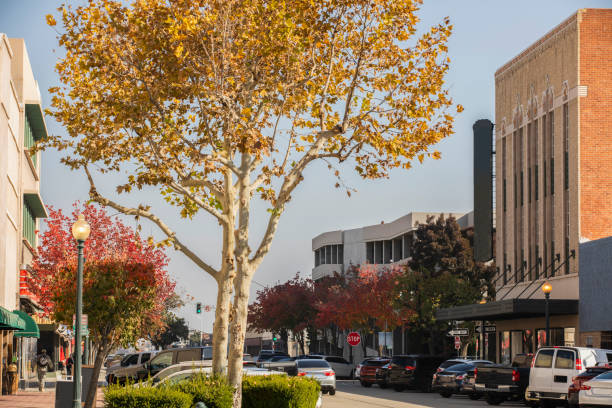 istock Bakersfield, California 1331031705