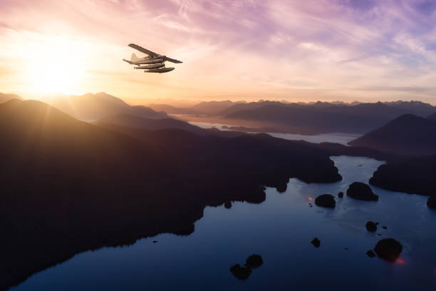 istock Aerial view from an airplane in the summer. 1331033274