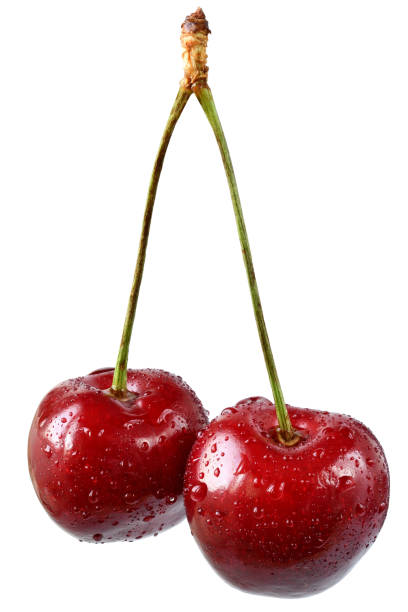 istock Bunch sweet cherry close up isolated 1331035913